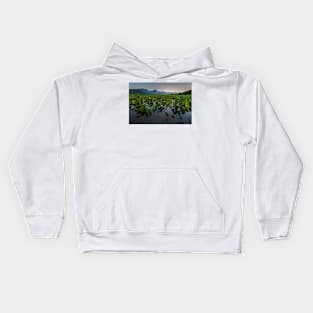 Loi (taro patch field) Kids Hoodie